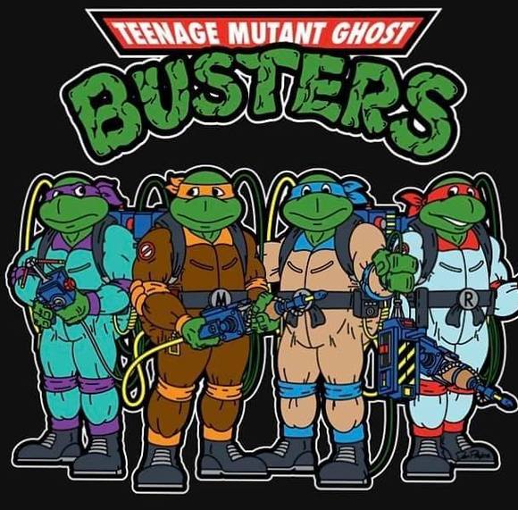 Meet your Posher, Joshua - Picture 1 of 1